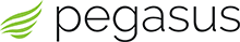 Pegasus Systems