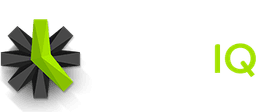 Time IQ