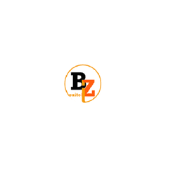 BizSuite