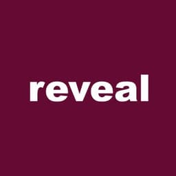 Reveal - Brainspace