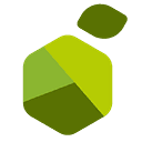 Lemontech